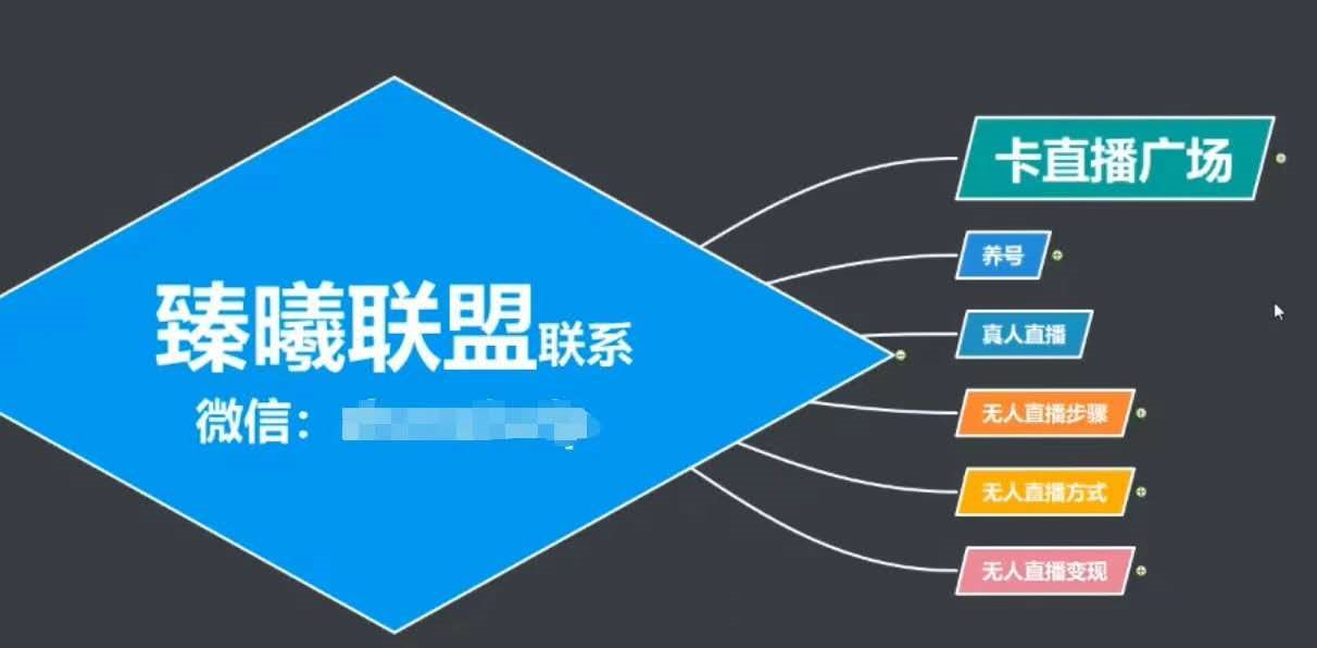 臻曦联盟，最新无人直播万人在线技术理原及详细操作步骤解析（视频教程）-圆梦资源网