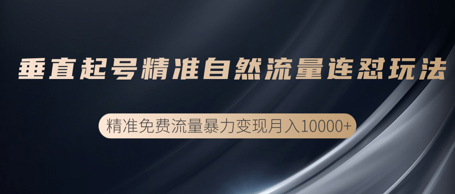 垂直起号精准自然流量连爆玩法，精准引流暴力变现月入10000+-圆梦资源网