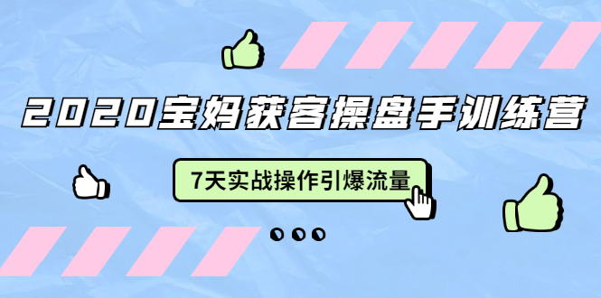 2020宝妈获客操盘手训练营：7天实战操作引爆 母婴、都市、购物宝妈流量-圆梦资源网