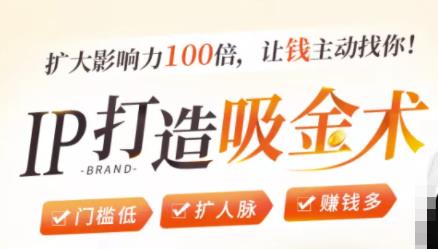 IP打造吸金术：0基础0资源，也能扩大影响力100倍，让钱主动找你！-圆梦资源网
