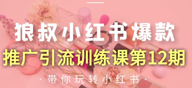 狼叔小红书爆款推广引流训练课第12期，手把手带你玩转小红书-圆梦资源网