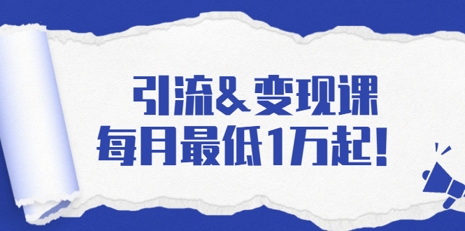 引流&变现课：分享一整套流量方法以及各个渠道收入，每月最低1万起！-圆梦资源网