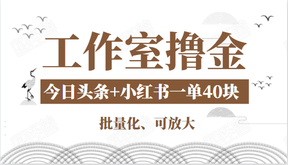 工作室撸金二件套：撸今日头条原创收益+小红书一单利润40块项目-圆梦资源网