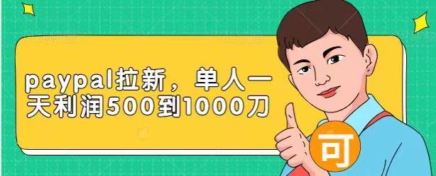 Paypal拉新赚美刀项目，单人一天利润500-1000刀【视频课程】-圆梦资源网