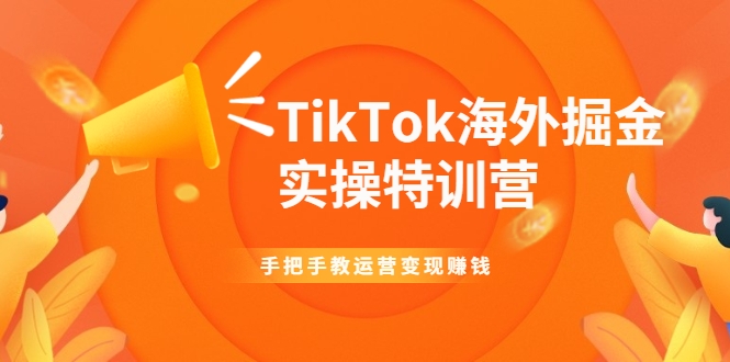 TikTok海外掘金实操特训营：手把手教运营变现赚钱-圆梦资源网