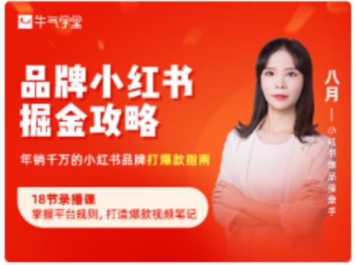 品牌小红书掘金攻略，年销千万的小红书品牌打爆款指南-圆梦资源网