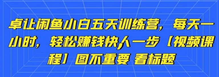 卓让闲鱼小白五天训练营，每天一小时，轻松赚钱快人一步-圆梦资源网