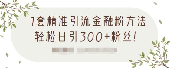 1套精准引流金融粉方法，轻松日引300+粉丝-圆梦资源网