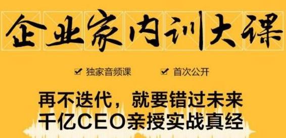 企业家内训大课，未来企业必学经验，价值1299元-圆梦资源网