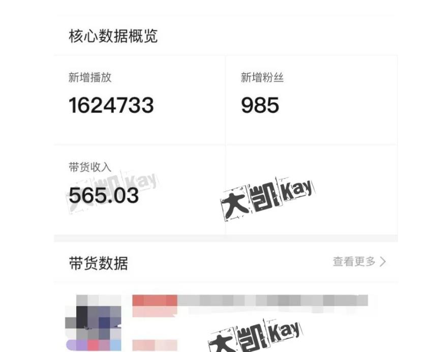 大凯进阶圈新玩法之拼多多视频玩法，利润大概一个号一天能有500~1500的左右!-圆梦资源网
