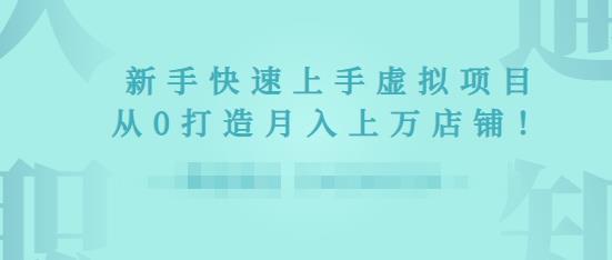 2022年虚拟项目实战指南，新手从0打造月入上万店铺-圆梦资源网