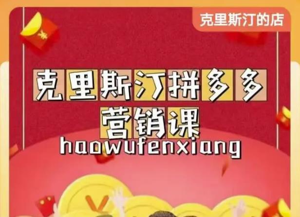 克里斯汀拼多多运营课，适合小白初涉平台，低成本入门-圆梦资源网