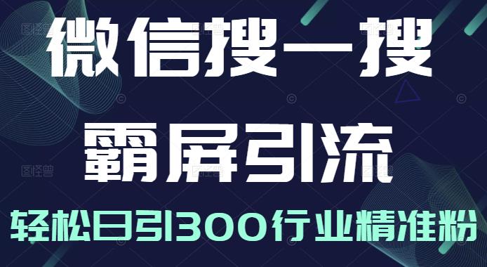 微信搜一搜霸屏引流课，打造被动精准引流系统，轻松日引300行业精准粉-圆梦资源网