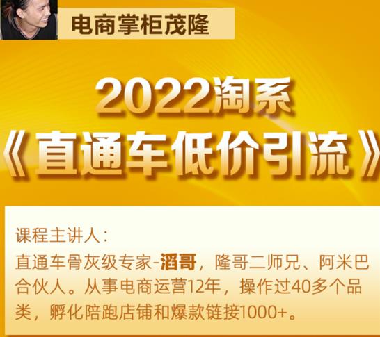 茂隆2022直通车低价引流玩法，教大家如何低投入高回报的直通车玩法-圆梦资源网
