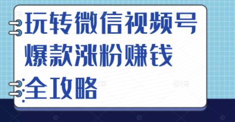 玩转微信视频号爆款涨粉赚钱全攻略，让你快速抓住流量风口，收获红利财富-圆梦资源网