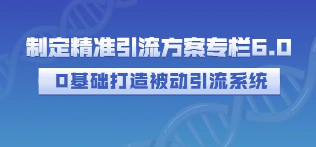 制定精准引流方案专栏6.0，0基础打造被动引流系统-圆梦资源网