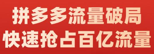 阿杰·拼多多流量破局:如何打黑标，爆款的思路，拼多多流量框架，快速抢占百亿流量-圆梦资源网