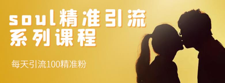 soul精准引流系列课程，每天引流100精准粉-圆梦资源网