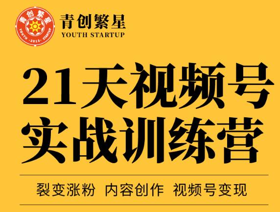 张萌21天视频号实战训练营，裂变涨粉、内容创作、视频号变现 价值298元-圆梦资源网