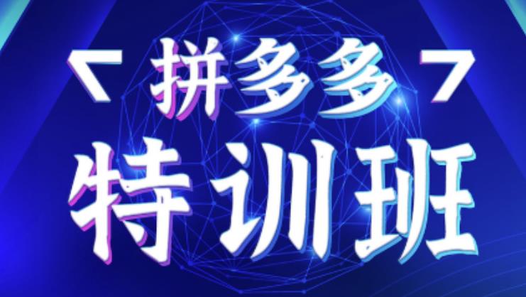 星雪教育·拼多多基础班+进阶班+突破班，用系统的学习模式快速改变现状价值3580元-圆梦资源网