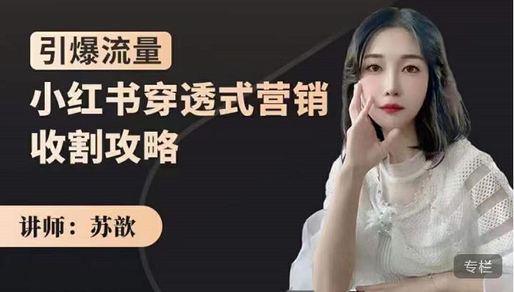苏歆：小红书穿透式营销收割攻略，引爆流量，助你玩转小红书-圆梦资源网