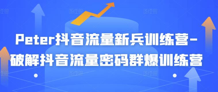 Peter抖音流量新兵训练营-破解抖音流量密码群爆训练营（新兵）-圆梦资源网