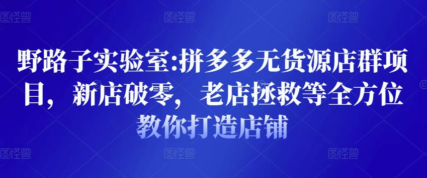 野路子实验室:拼多多无货源店群项目，新店破零，老店拯救等全方位教你打造店铺-圆梦资源网