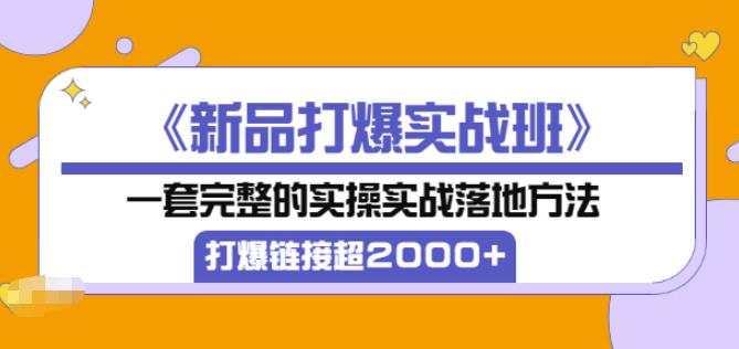凌童《新品打爆实战班》,一套完整的实操实战落地方法，打爆链接超2000+（28节课)-圆梦资源网