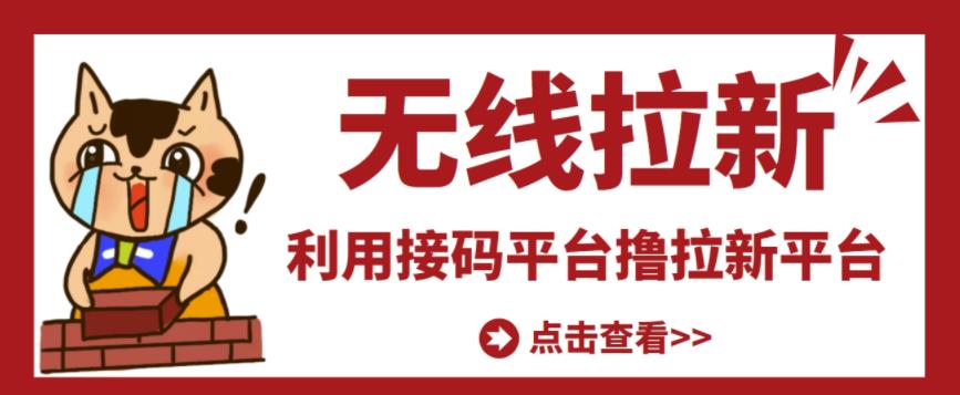 最新接码无限拉新项目，利用接码平台赚拉新平台差价，轻松日赚500+-圆梦资源网
