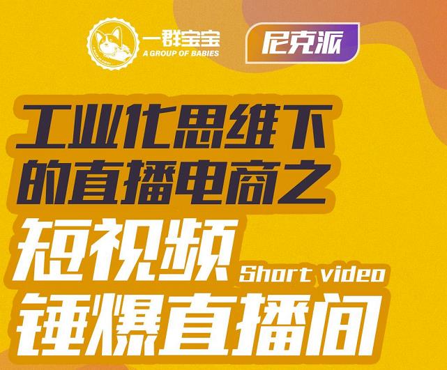 尼克派·工业化思维下的直播电商之短视频锤爆直播间，听话照做执行爆单-圆梦资源网