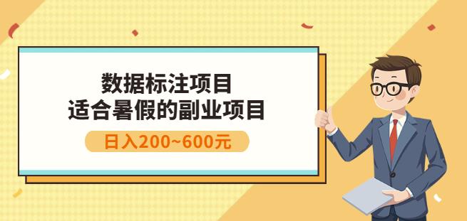 副业赚钱：人工智能数据标注项目，简单易上手，小白也能日入200+-圆梦资源网
