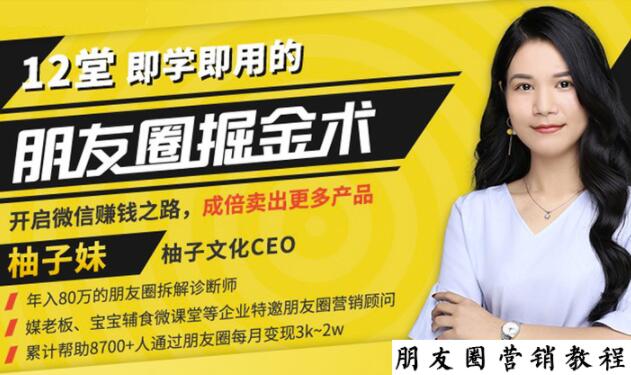 【营销必学】12堂学之即用的朋友圈掘金术：开启你的副业赚钱之路-圆梦资源网