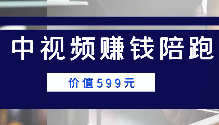 中视频赚钱陪跑，卖中视频账户赚钱收益陪跑项目（价值599元）-圆梦资源网