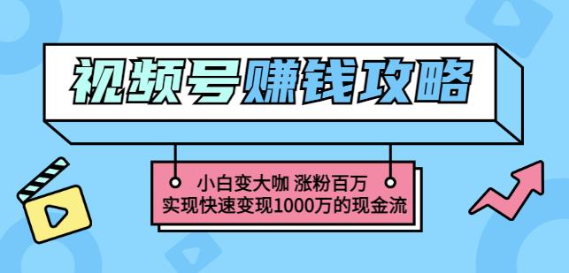 玩转微信视频号赚钱：小白变大咖涨粉百万实现快速变现1000万的现金流-圆梦资源网