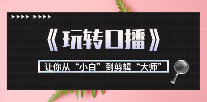 月营业额700万+大佬教您《玩转口播》让你从“小白”到剪辑“大师”-圆梦资源网