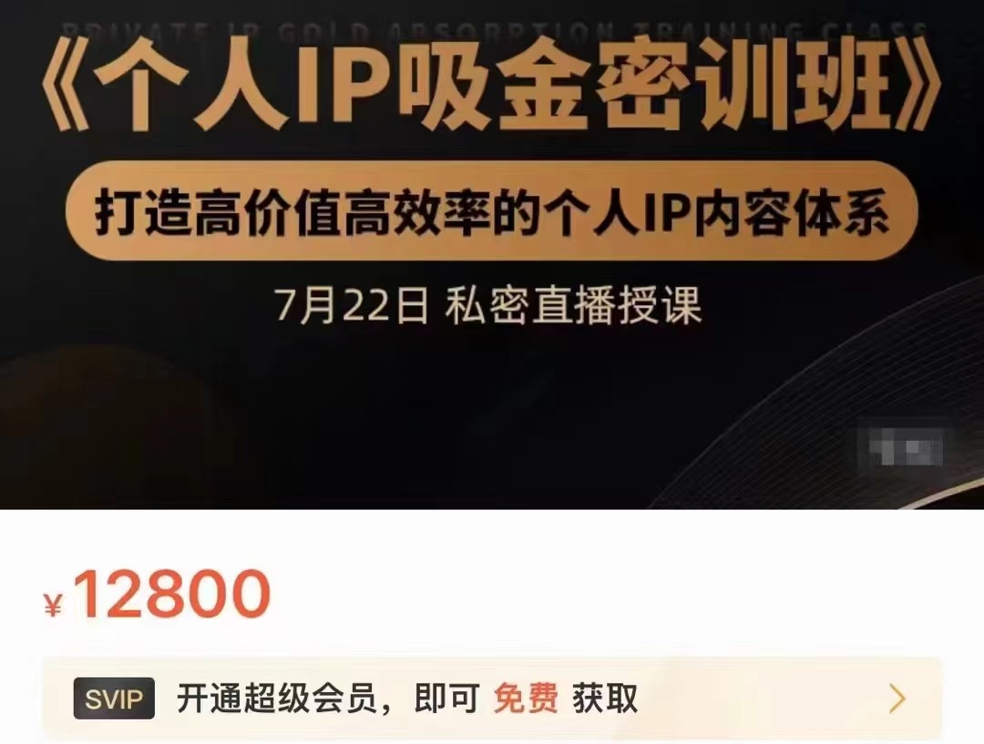 个人IP吸金密训班，打造高价值高效率的个人IP内容体系（价值12800元）-圆梦资源网