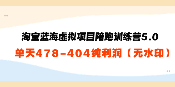 淘宝蓝海虚拟项目陪跑训练营5.0：单天478纯利润-圆梦资源网