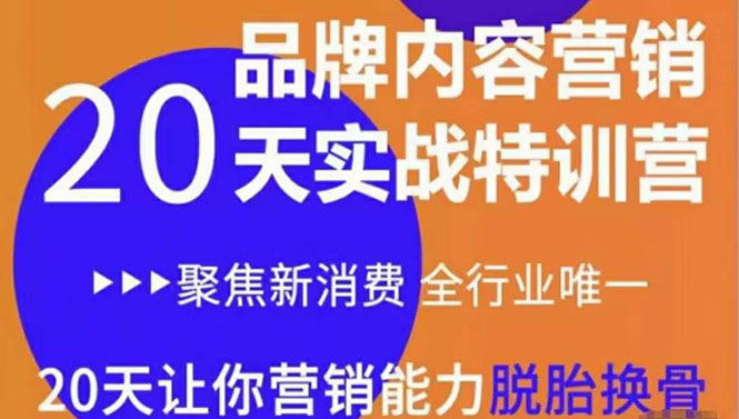 《内容营销实操特训营》20天让你营销能力脱胎换骨（价值3999）-圆梦资源网