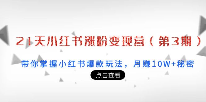 21天小红书涨粉变现营（第3期）：带你掌握小红书爆款玩法，月赚10W+秘密-圆梦资源网