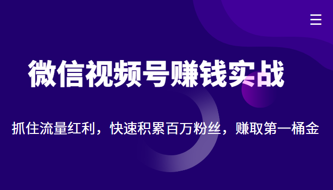 微信视频号赚钱实战：抓住流量红利，快速积累百万粉丝，赚取你的第一桶金-圆梦资源网