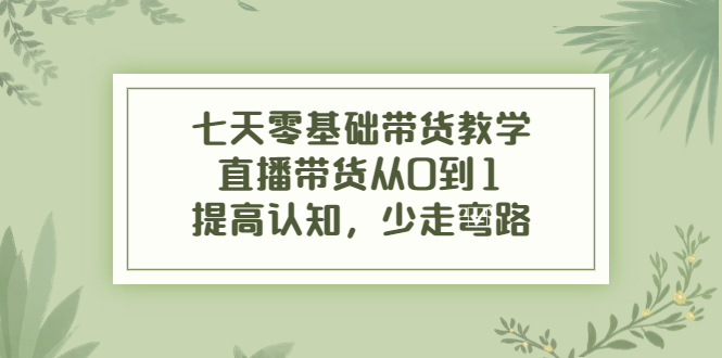 七天零基础带货教学，直播带货从0到1，提高认知，少走弯路-圆梦资源网