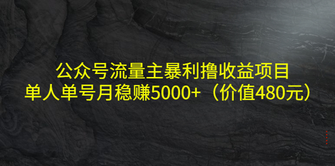 公众号流量主暴利撸收益项目，单人单号月稳赚5000+（价值480元）-圆梦资源网