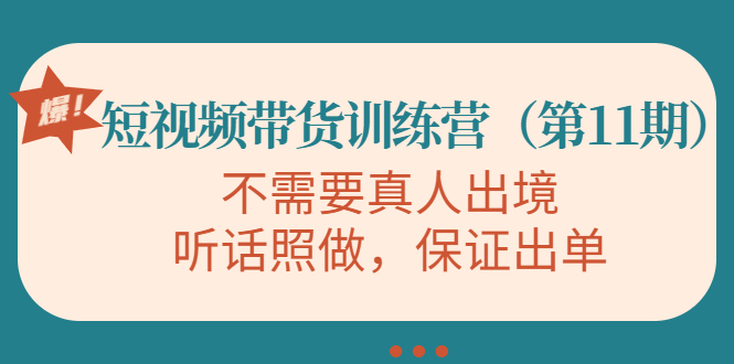 视频带货训练营，不需要真人出境，听话照做，保证出单（第11期）-圆梦资源网