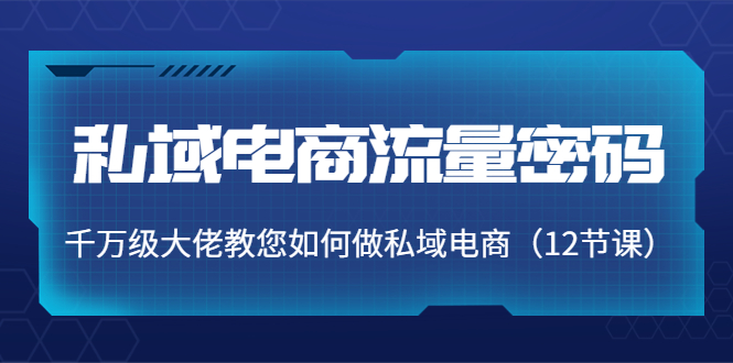 私域电商流量密码：千万级大佬教您如何做私域电商（12节课）-圆梦资源网
