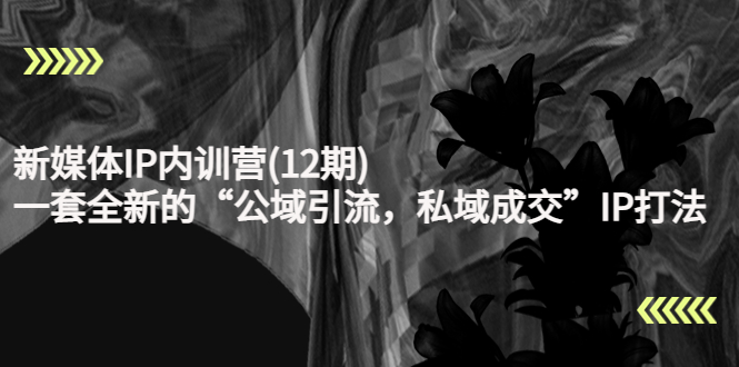 新媒体IP内训营(12期)，一套全新的“公域引流，私域成交”IP打法，直接带走-圆梦资源网