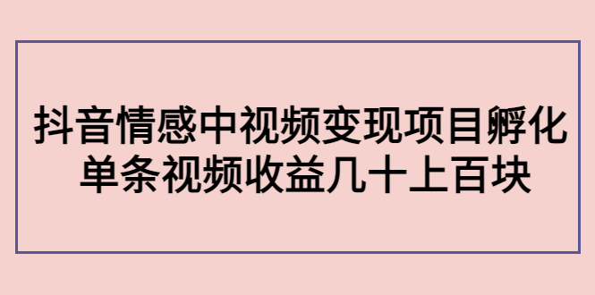 副业孵化营第5期：抖音情感中视频变现项目孵化 单条视频收益几十上百-圆梦资源网