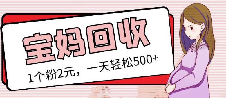 最新小红书母婴号宝妈粉回收项目，1个粉2元，一天轻松500+案例分享【粉丝包回收】-圆梦资源网
