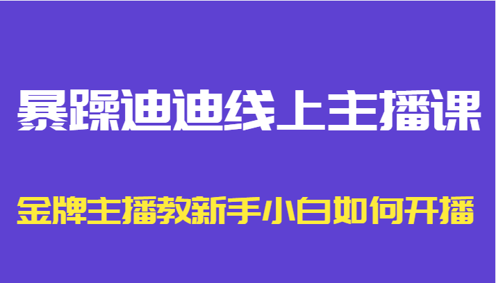 暴躁迪迪线上主播课，金牌主播教新手小白如何开播-圆梦资源网