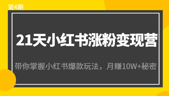 21天小红书涨粉变现营（第4期）：带你掌握小红书爆款玩法，月赚10W+秘密-圆梦资源网