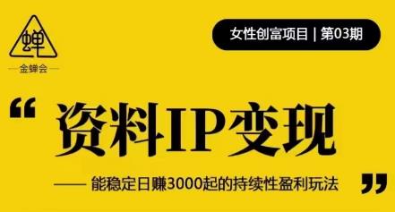 资料IP变现，能稳定日赚3000起的持续性盈利玩法-圆梦资源网